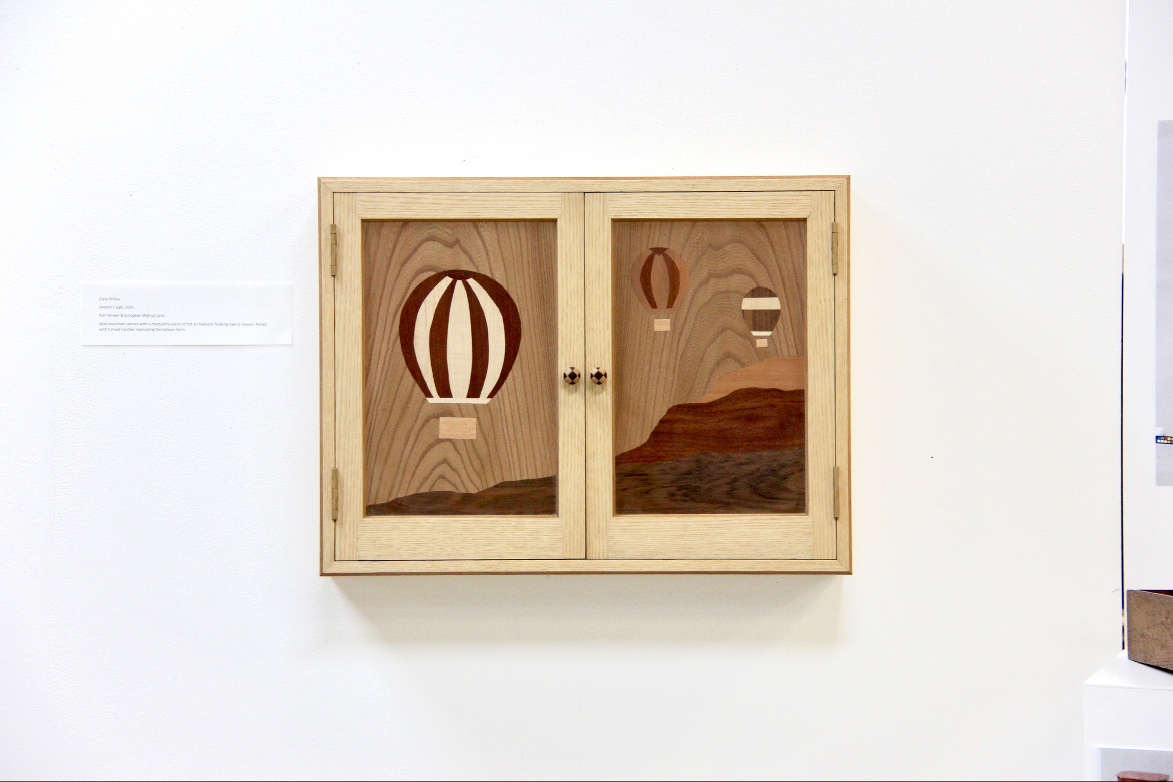 Hot Air Balloon Cabinet by Clara Prince